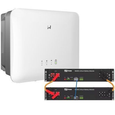 Комплект резервного живлення GOODWE GW6000-ES-20, 48 В, 6000 Вт, 120 А + 2x Акумулятора DYNESS B4850 LiFePO4 48V/50AH (4800W*h) GW6000-ES-20+48+2хB4850 фото