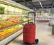 Сумка-візок Gimi Easy 40 Red (168418) 929074 фото 3