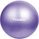 М'яч для фітнесу Toorx Gym Ball 75 cm Purple (AHF-013) 929488 фото