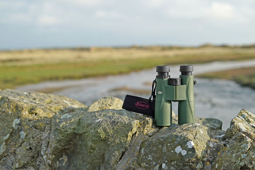 Бинокль Kowa SV II 10x50 WP (11906) 927697 фото