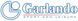 Настільний футбол Garlando G-500 Weatherproof Blue (G500WBLGULLA) 930614 фото 11