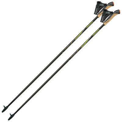 Палиці для скандинавської ходьби Gabel FX-75 Snake Carbon 115 Dual Spike (7009351011150) DAS302694 фото
